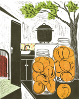 Lovers Canning Apricots